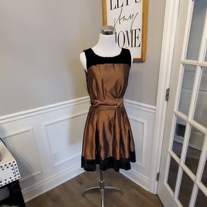 Antique gold and black velvet dress with tie back.